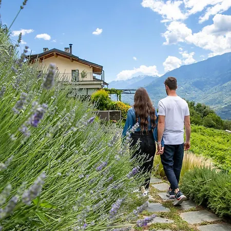 Wine Retici Balzi Hotel