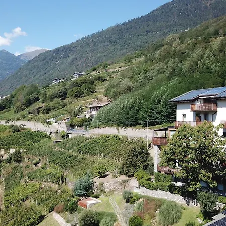 Wine Retici Balzi 4* Poggiridenti