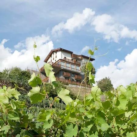 Wine Retici Balzi Poggiridenti